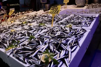 Trabzonda Hamsi Fiyatlari 100 Lira