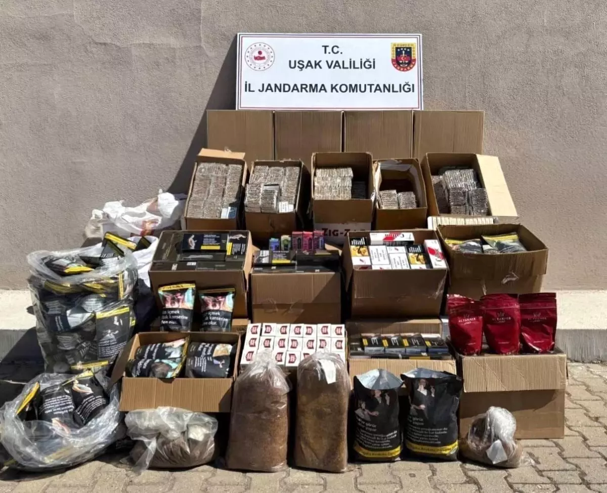 Usakta Kacak Tutun Operasyonu Buyuk Miktarda Ele Gecirildi