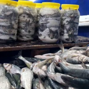Van Golunun Inci Kefali Tezgahlari Senlendiriyor