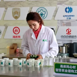 Xinjiang Uygur Ozerk Bolgesi Yatirimlarda Ivme Kazandi