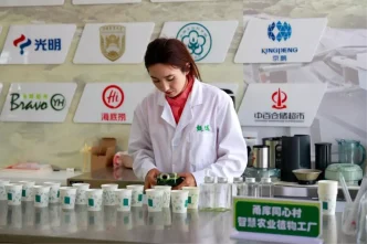 Xinjiang Uygur Ozerk Bolgesi Yatirimlarda Ivme Kazandi