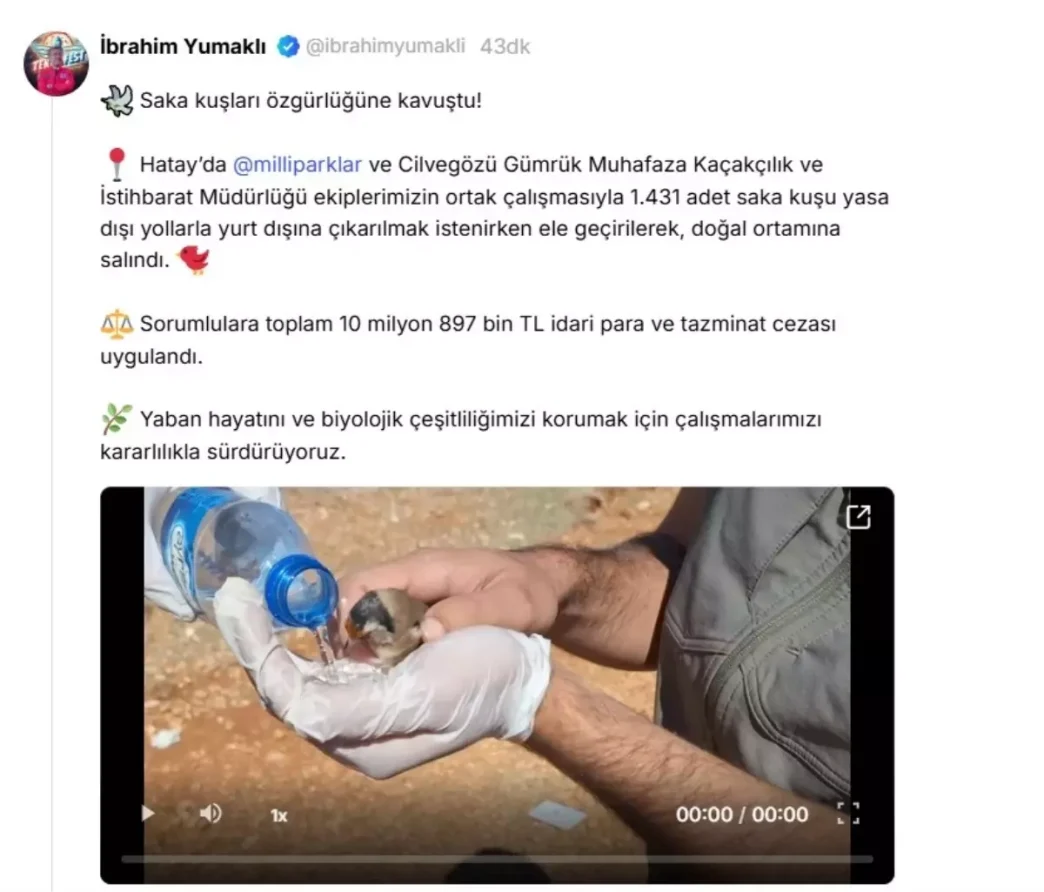 Yasa Disi Kus Kacakciligina Buyuk Darbe 1431 Saka Kusu Kurtarildi