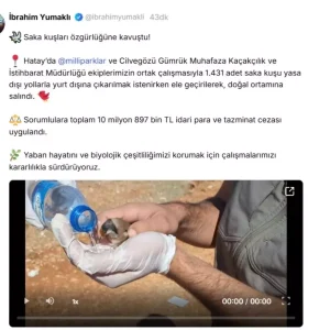 Yasa Disi Kus Kacakciligina Buyuk Darbe 1431 Saka Kusu Kurtarildi