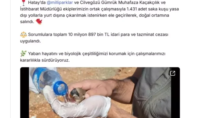 Yasa Disi Kus Kacakciligina Buyuk Darbe 1431 Saka Kusu Kurtarildi