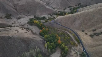Yuksekovada Ceviz Hasadi Basladi 8 Ton Urun Elde Edildi