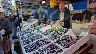 Zonguldakta Hamsi Fiyati 70 Liraya Dustu