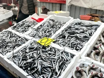 Zonguldakta Yerli Hamsi 100 Liradan Satista