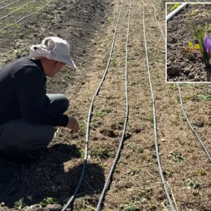 issiz kalinca ekti hayati degisti kilosunu 200 19168841 4452 amp