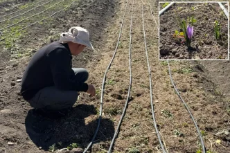issiz kalinca ekti hayati degisti kilosunu 200 19168841 4452 amp