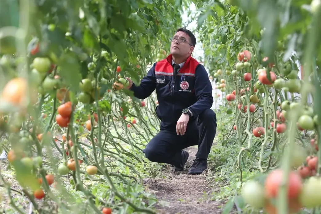 kars ta ziraat muhendislerinin olusturdugu se 19137502 amp