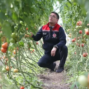kars ta ziraat muhendislerinin olusturdugu se 19137502 amp